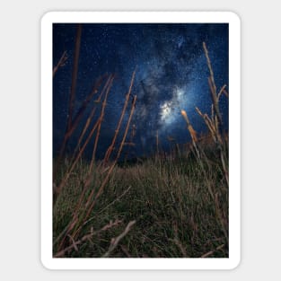 Milky Way Walk, our galaxy on a night walk Magnet